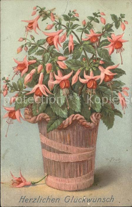 Frueh W. Fuchsie