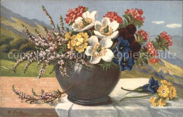 Frueh W. Alpenrosen Anemonen Primeln Enzian Heid