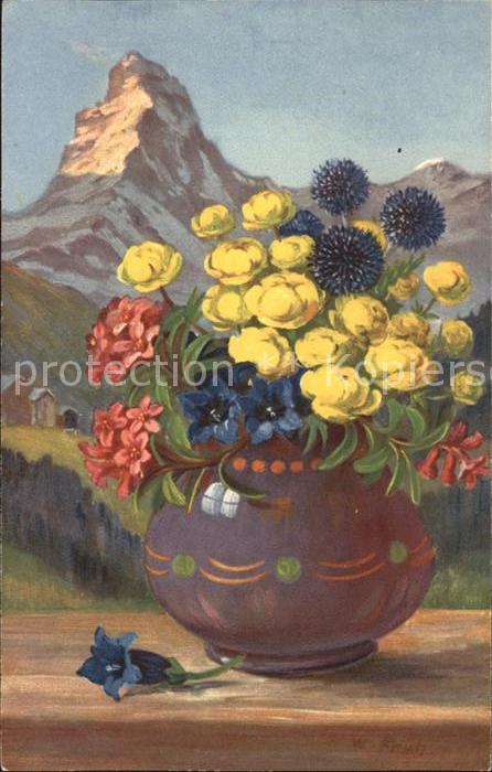 Frueh W. Alpenrosen Trollblumen Enzian