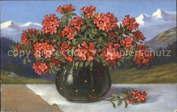 Frueh W. Alpenrosen