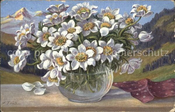 Frueh W. Anemonen