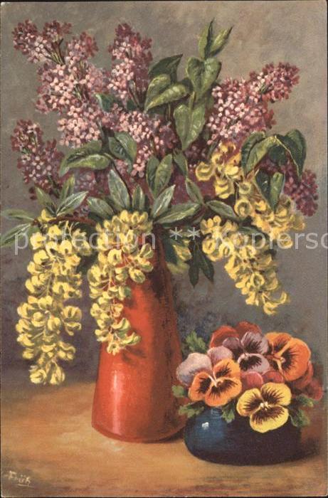 Frueh W. Flieder Stiefmütterchen