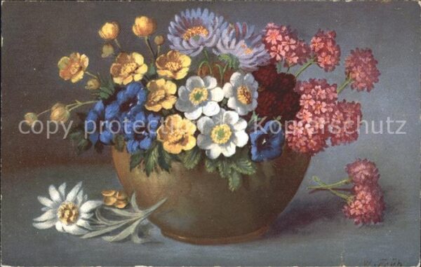 Frueh W. Anemonen Astern Enzian Edelweiß