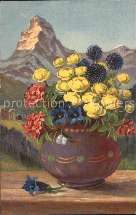 Frueh W. Alpenrosen Enzian Trollblumen