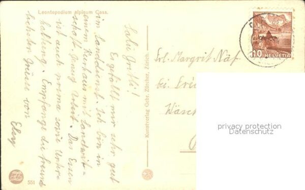 Frueh W. 551 Edelweiß Berge – Bild 2
