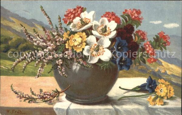 Frueh W. Heidekraut Primeln Anemone Enzian Alpen