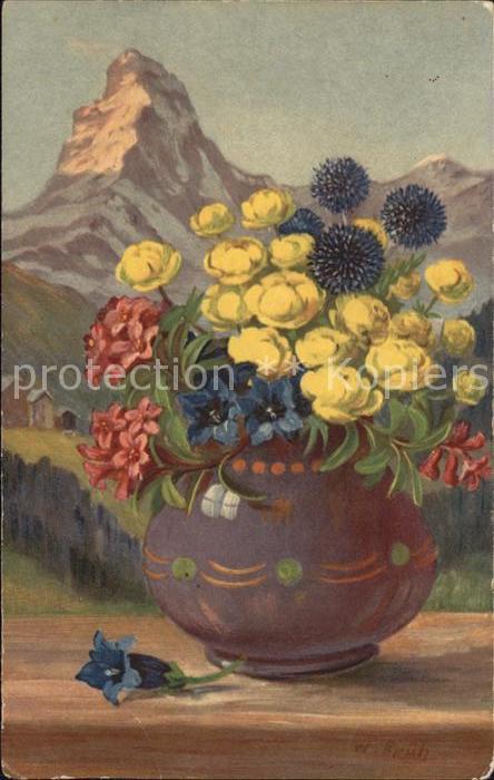Frueh W. Alpenrosen Enzian Trollblumen