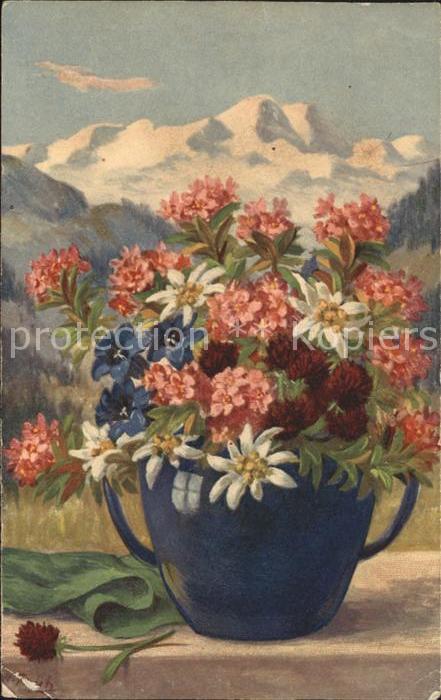 Frueh W. Edelweiß Alpenrosen Enzian