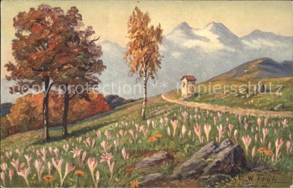 Frueh W. 587 Colchicum autumnale Herbstzeitlose