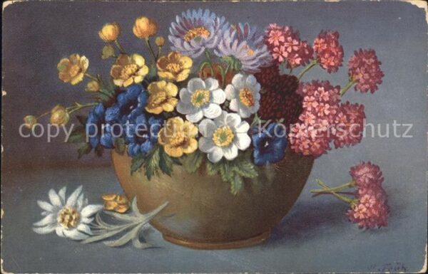 Frueh W. Enzian Edelweiß Anemonen Astern