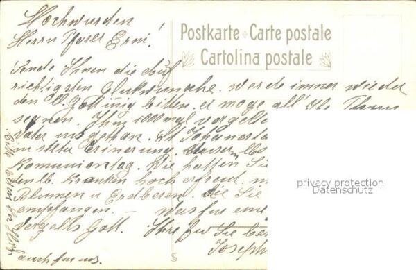 Frueh W. Geranien – Bild 2