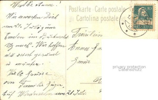 Frueh W. Dahlien Astern Kornblumen – Bild 2