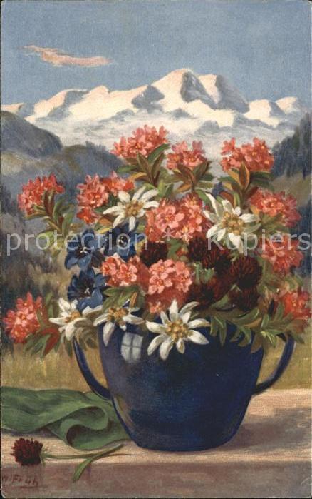 Frueh W. Edelweiß Enzian Alpenrosen