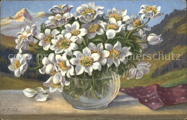 Frueh W. Anemonen