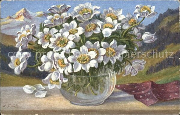 Frueh W. Anemonen