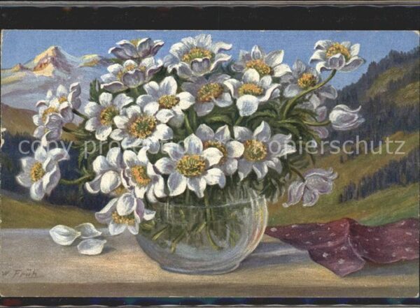 Frueh W. Anemonen