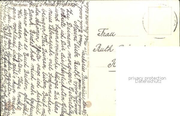 Zuercher J. 695 Cheiranthus Goldlack – Bild 2