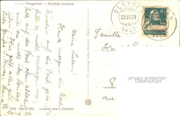 Zuercher J. 643 Digitale pourpre Fingerhut – Bild 2