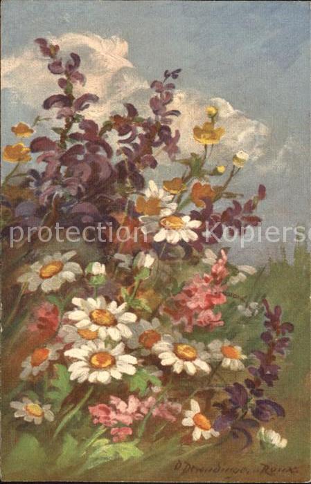 Derendinger-Roux D. 195 Margeriten Feldblumen