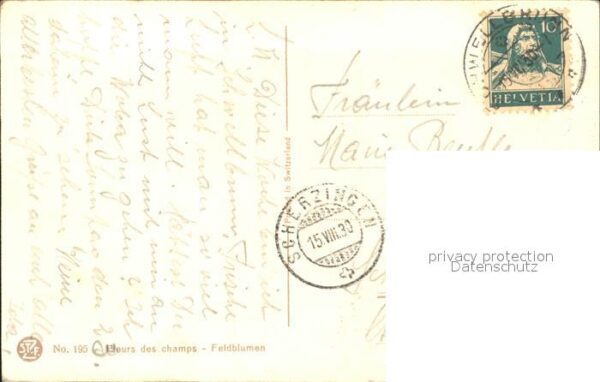 Derendinger-Roux D. 195 Margeriten Feldblumen – Bild 2