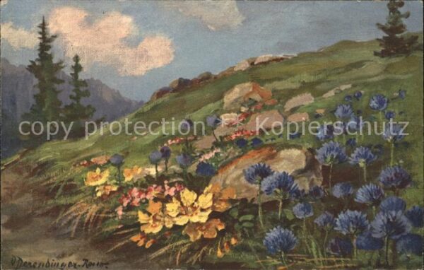 Derendinger-Roux D. 192 Fleurs des Alpes Alpenblumen Anemon