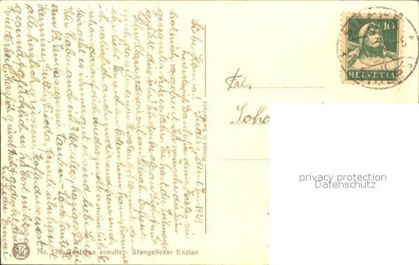 Derendinger-Roux D. 178 Stengelloser Enzian – Bild 2