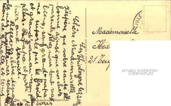 Derendinger-Roux D. 193 Alpenrosen – Bild 2
