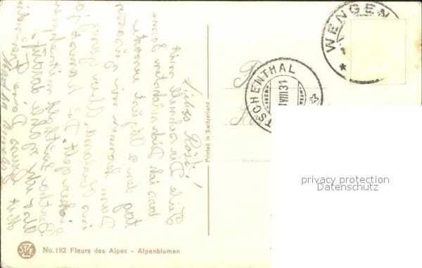 Derendinger-Roux D. 182 Enzian Edelweiß Alpenrosen – Bild 2