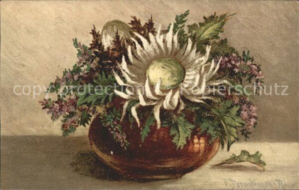 Derendinger-Roux D. 377/3 Silberdistel Blumen