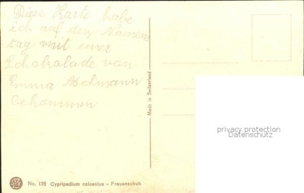 Derendinger-Roux D. 176 Frauenschuh – Bild 2