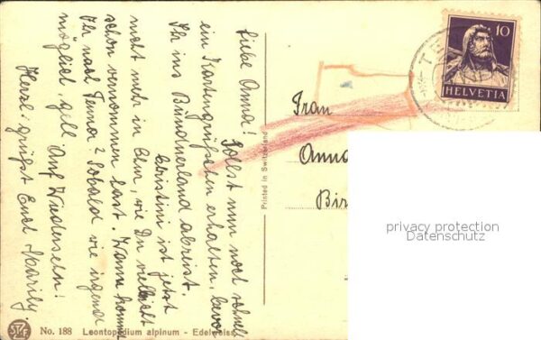 Derendinger-Roux D. 188 Edelweiß – Bild 2