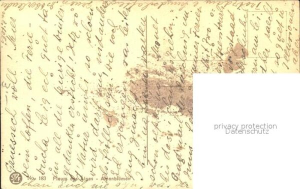 Derendinger-Roux D. 183 Enzian Alpenrosen – Bild 2