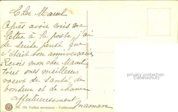 Derendinger-Roux D. 175 Trollblumen – Bild 2