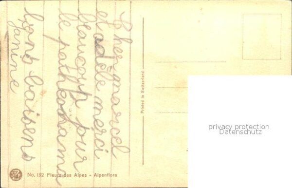Derendinger-Roux D. 192 Anemonen – Bild 2