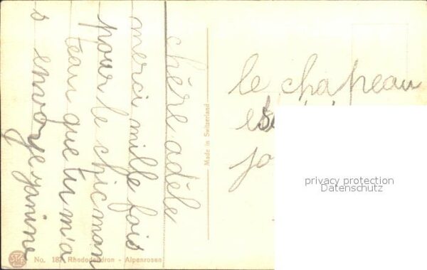 Derendinger-Roux D. 187 Alpenrosen – Bild 2