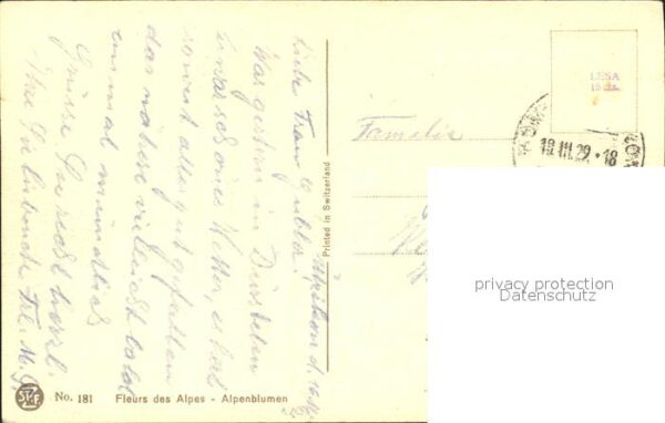 Derendinger-Roux D. 181 Enzian Trollblumen Vergissmeinnicht – Bild 2