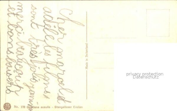 Derendinger-Roux D. 178 – Bild 2