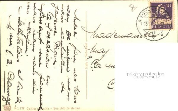 Derendinger-Roux D. 177 Sumpfdotterblumen – Bild 2