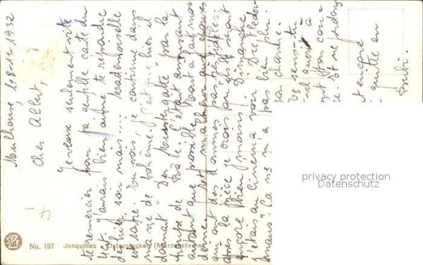 Derendinger-Roux D. 197 Osterglocken Narzissen – Bild 2