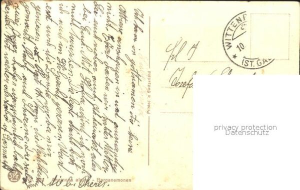 Derendinger-Roux D. Berganemonen – Bild 2