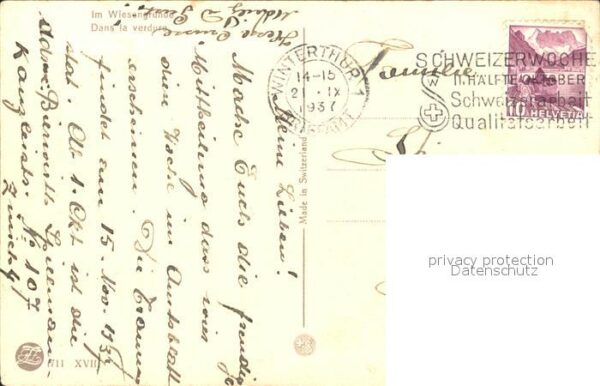 Zuercher J. Im Wiesengrund – Bild 2