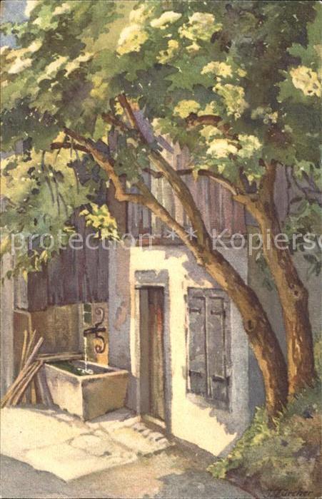 Zuercher J. Unterm Holunderbusch