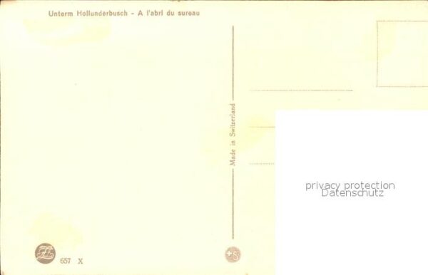 Zuercher J. Unterm Holunderbusch – Bild 2