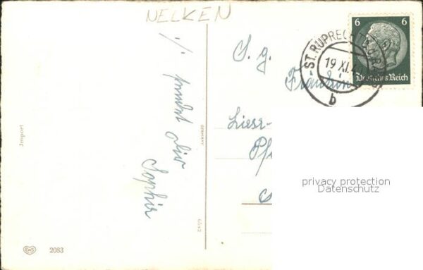 Blumen Nelken – Bild 2