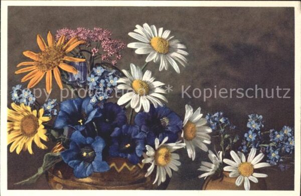 Blumen Margeriten Enzian Vergissmeinnicht