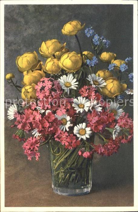 Blumen Trollblumen Margeriten Alpenrosen