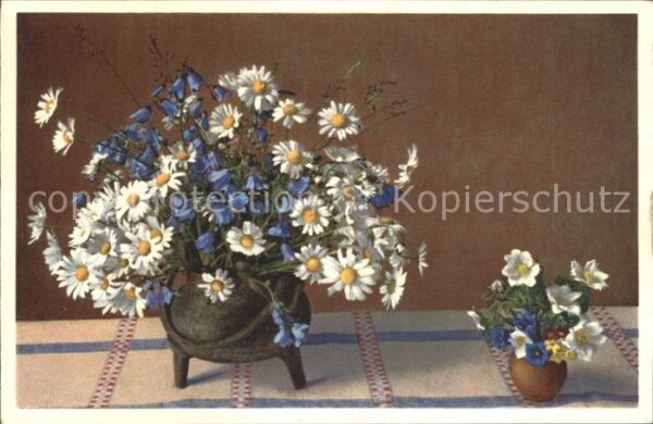 Blumen Chrysanthemum Leucanthemum Campanula rh