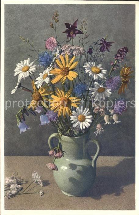 Blumen Wiesenblumen Fleurs des champs