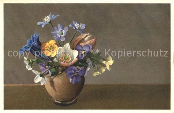 Blumen Frühlingsblumen Enzian