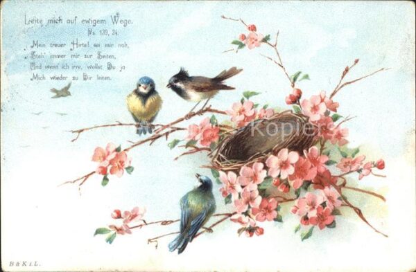 Voegel Blumen Psalm 139 24 Litho